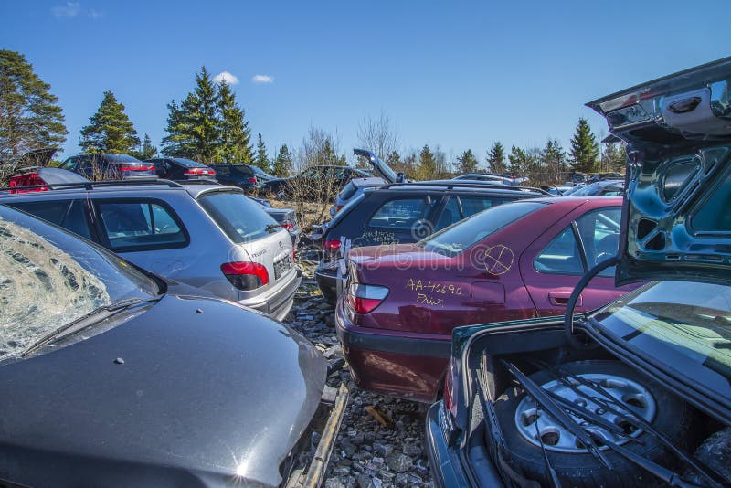 Wreck cars on a scrap yard