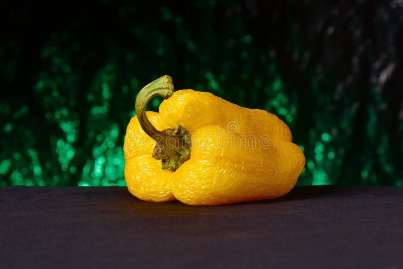 Wrinkled Yellow Bell Pepper Stock Photo Image of space, yellow 176875908