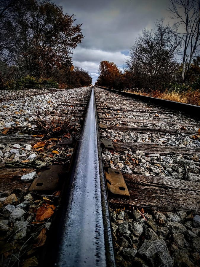 Wrong Side of the Tracks stock image. Image of leaf 260241617