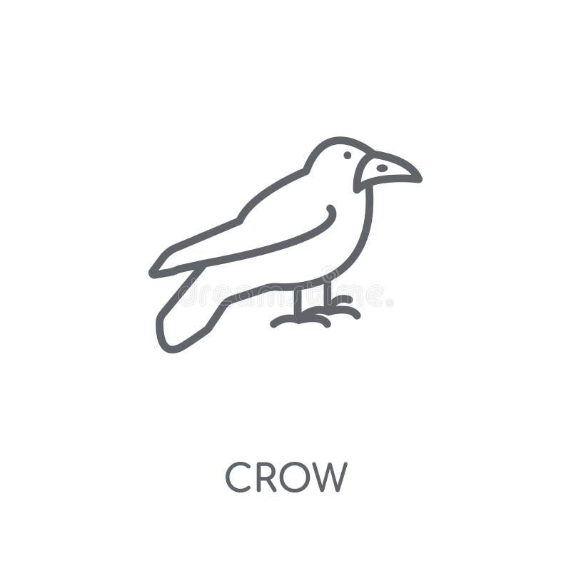 Wronia liniowa ikona Nowożytny kontur wrony logo pojęcie na bielu plecy ilustracja wektor Wronia liniowa ikona Nowożytny kontur wrony logo pojęcie na bielu plecy ilustracja wektor