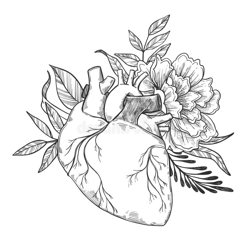 Wręcza patroszone wektorowe ilustracje - Ludzki serce z kwiatami