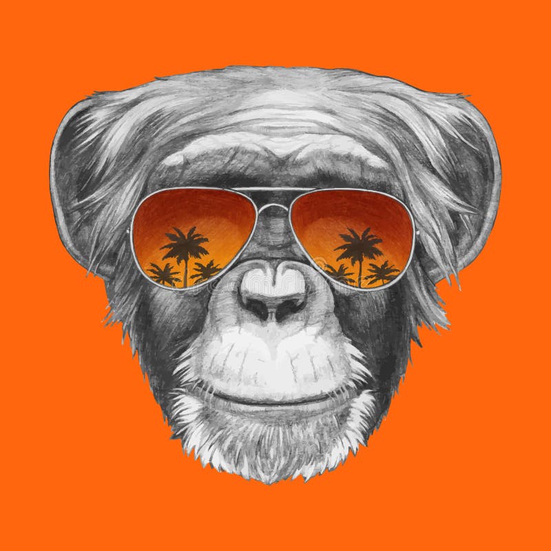 Wręcza patroszonego portret małpa z lustrzanymi okularami przeciwsłonecznymi