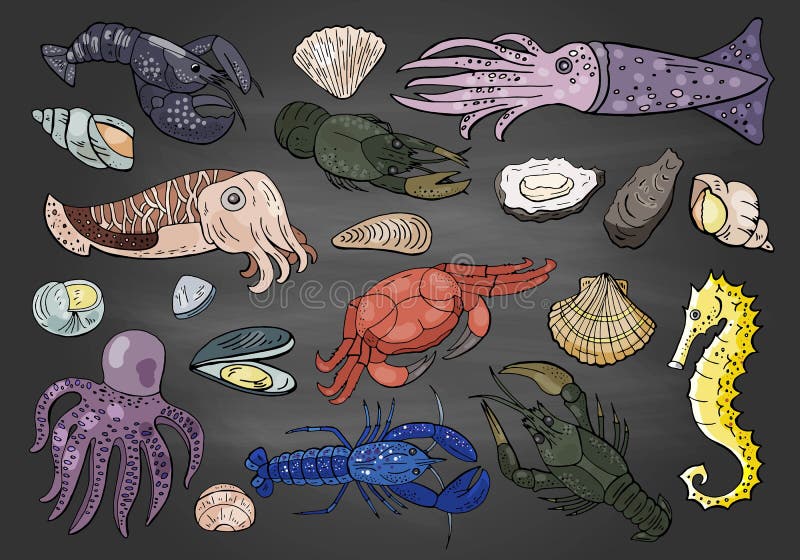 Wręcza patroszonego różnego owoce morza barwiącego na czarnym tle ilustracji Wręcza patroszonego różnego owoce morza barwiącego na czarnym tle ilustracji