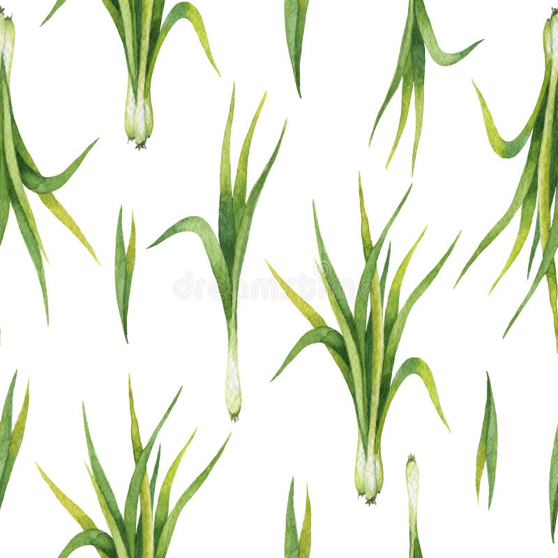 Wręcza patroszonej akwareli bezszwowego wzór cytryny trawa ilustracja wektor Wręcza patroszonej akwareli bezszwowego wzór cytryny trawa ilustracja wektor