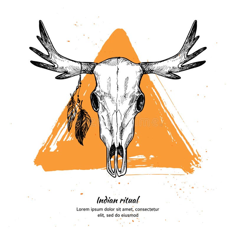 Wręcza patroszoną wektorową ilustrację - czaszka zwierzę z piórkami ilustracja wektor Wręcza patroszoną wektorową ilustrację - czaszka zwierzę z piórkami ilustracja wektor