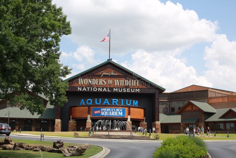 Wunder des Museums der wild lebenden Tiere und des Aquariums, Springfield, MO
