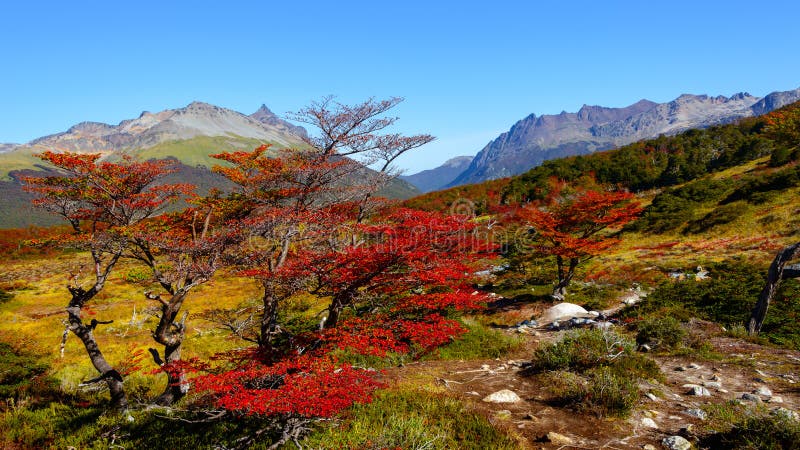 Wunderbare Landschaft von Patagonia ` s Tierra del Fuego National Par lizenzfreie stockfotos Wunderbare Landschaft von Patagonia ` s Tierra del Fuego National Par lizenzfreie stockfotos