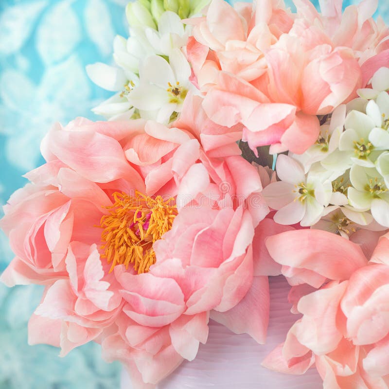 Wunderschöner Bouquet mit rosafarbenen Bauern blüht in einer Vase auf blauem Hintergrund. stockbilder