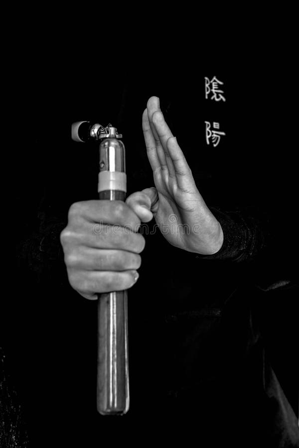 Wushu . Skill with Nunchuck. Stock Photo Image of martial, motion