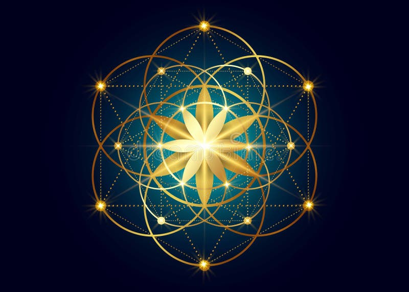 Seed of life symbol Sacred Geometry. Geometric mystic mandala of alchemy esoteric Flower of Life. Gold luxury design, vector sign