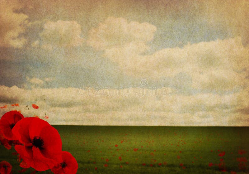 WW1 First World War Abstract Background with Poppies Stock Image