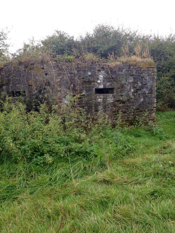 WW2 Pill box stock image. Image of pill, undergrowth 45131155