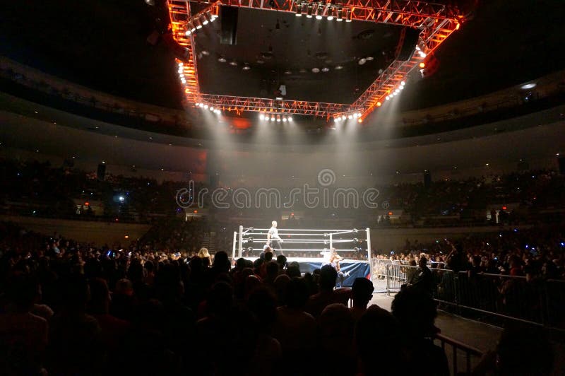 WWE-Worstelaar Dolph Ziggler en Baron Corbin-slag buiten ri stock afbeelding WWE-Worstelaar Dolph Ziggler en Baron Corbin-slag buiten ri stock afbeelding