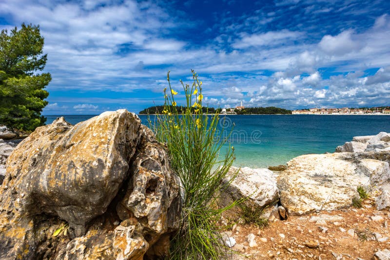 Wybrzeże skaliste i plaża na Półwyspie Kamenjak Park obrazy stock