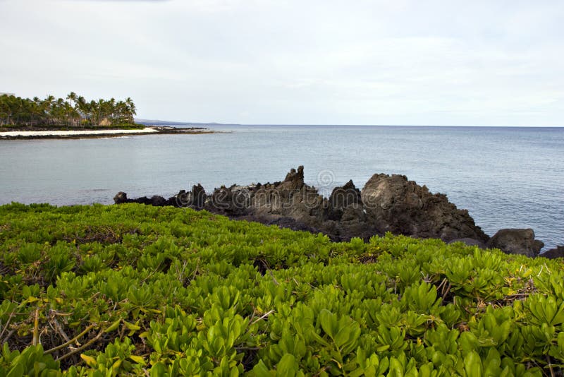 Kona Island Volcanic Lava Shore, Hawaii. Kona Island Volcanic Lava Shore, Hawaii