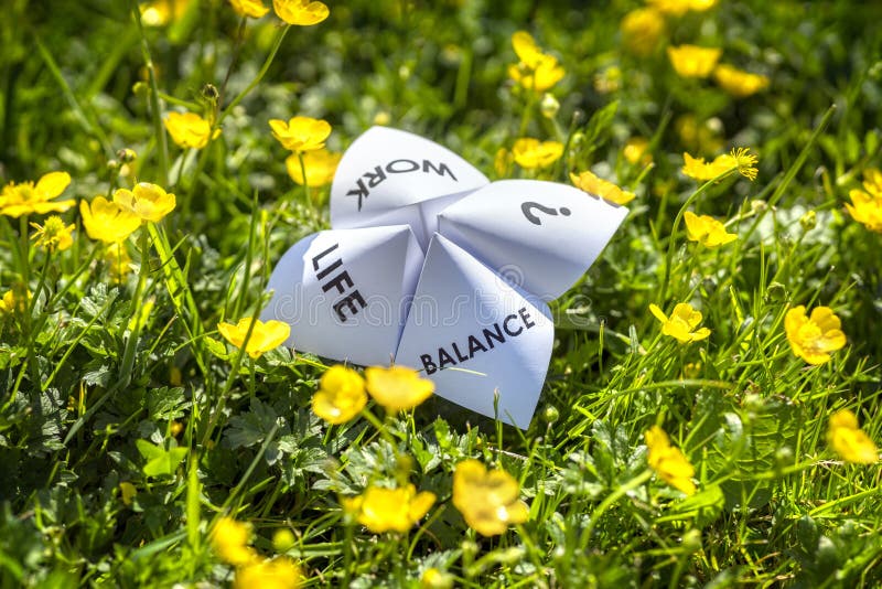 Origami fortune teller on vacation in a meadow concept for work life balance choices. Origami fortune teller on vacation in a meadow concept for work life balance choices