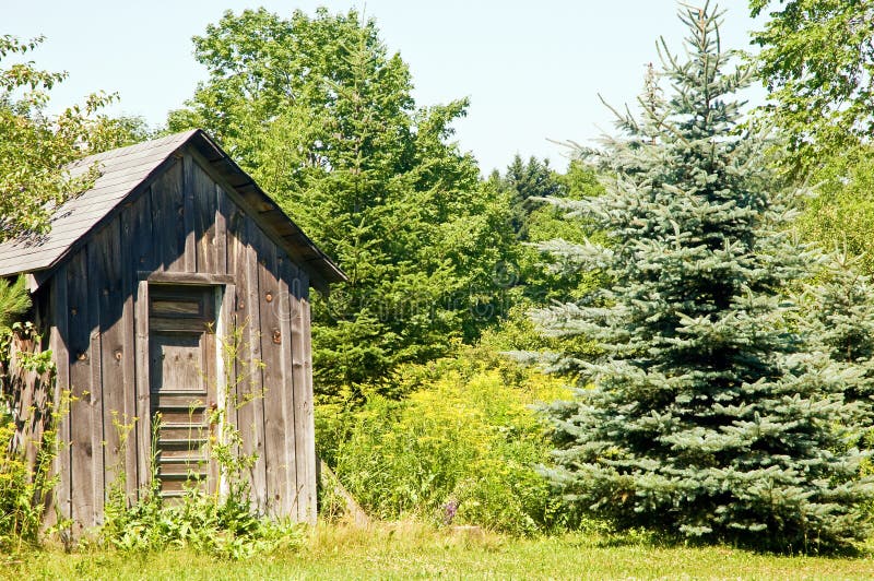 A view of an old wooden outhouse or shack on the edge of the woods. A view of an old wooden outhouse or shack on the edge of the woods.