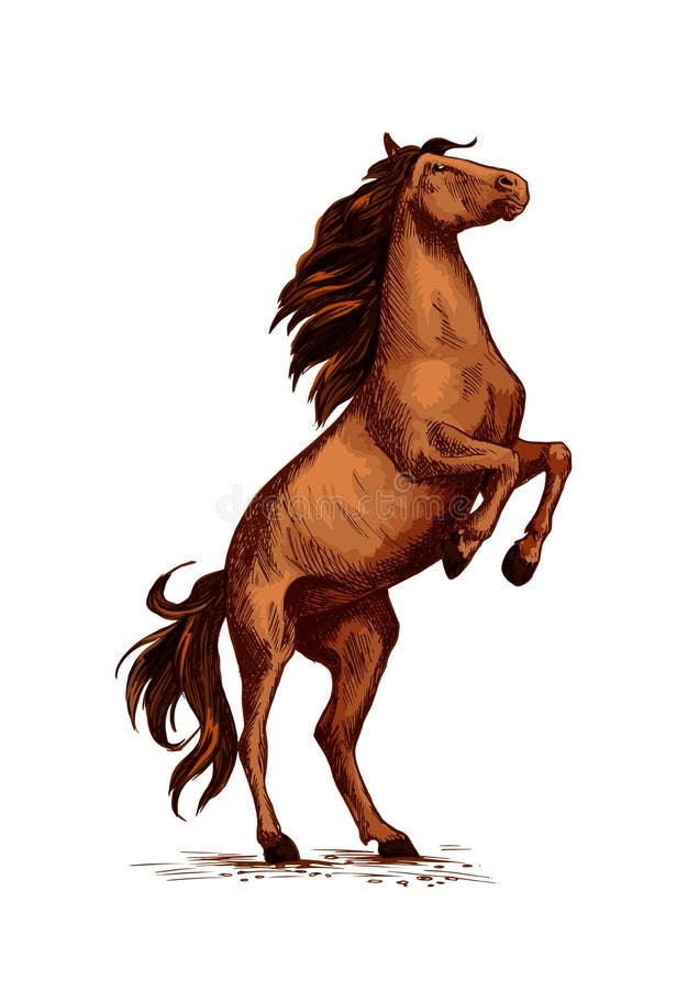 Wychowu dzikiego konia nakreślenia wektorowy symbol ilustracji Wychowu dzikiego konia nakreślenia wektorowy symbol ilustracji