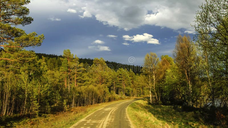 Download Wycieczka Afryka, Tanzania obraz stock. Obraz złożonej z natura - 57663729