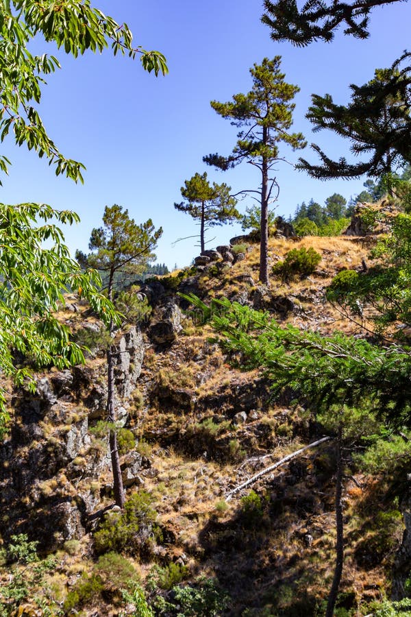 Wycieczkować trasę w Serra da Estrela blisko Manteigas, Portugalia obrazy stock Wycieczkować trasę w Serra da Estrela blisko Manteigas, Portugalia obrazy stock
