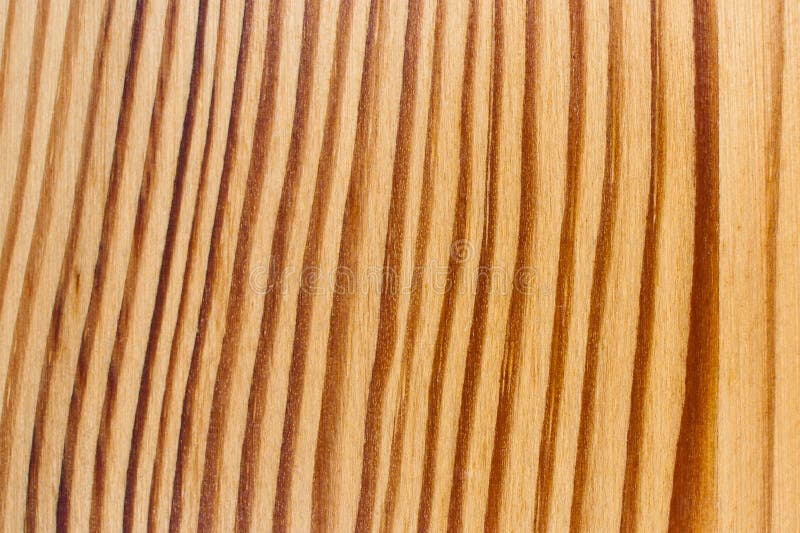 Wood texture with curved regular vertical lines. Wood texture with curved regular vertical lines.