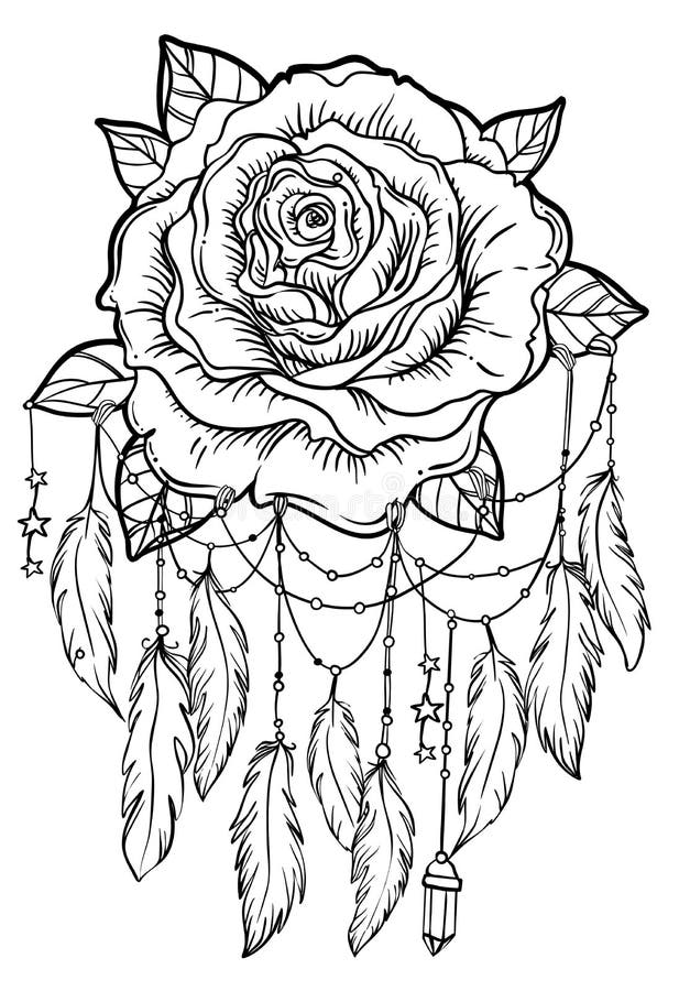 Wymarzony łapacz z róża kwiatem, szczegółowy wektorowy ilustraci iso