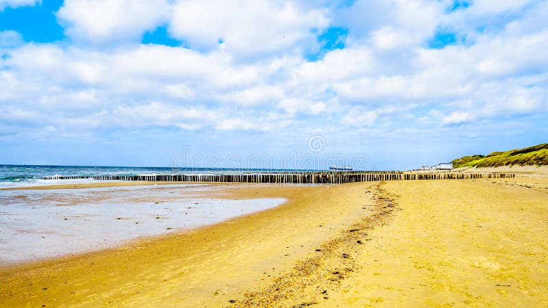 Wyrzucać na brzeg przy Westerschelde i morzem północnym blisko schronienia miasta Vlissingen w Zeeland prowincji zdjęcia stock Wyrzucać na brzeg przy Westerschelde i morzem północnym blisko schronienia miasta Vlissingen w Zeeland prowincji zdjęcia stock