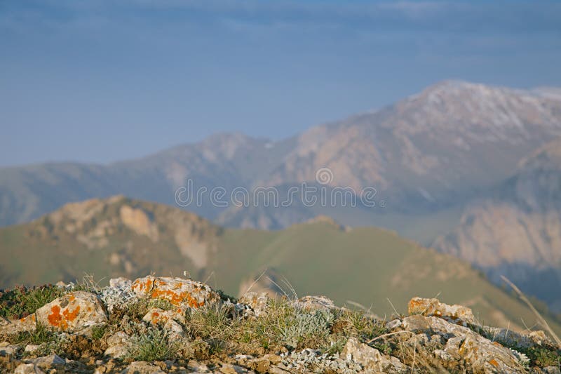Wysoka góra syna Kula jeziorna dolina w wczesne lato czasie, Kyrgyzst zdjęcie royalty free