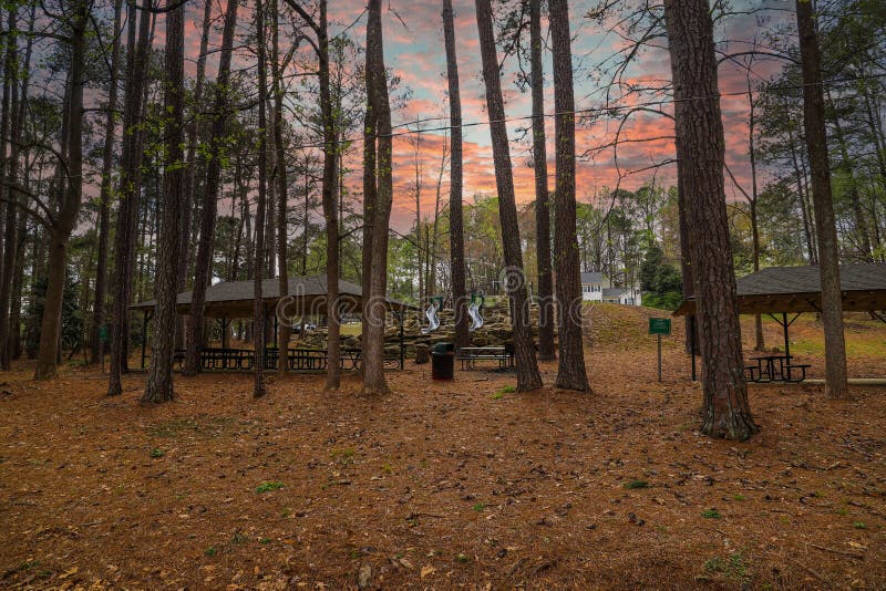 Tall thin pine trees in the forest with brown wooden pergolas and two slides on a hill with brown pine needles on the ground, powerful red clouds at sunset at Murphey Candler Park in Atlanta Georgia USA. Tall thin pine trees in the forest with brown wooden pergolas and two slides on a hill with brown pine needles on the ground, powerful red clouds at sunset at Murphey Candler Park in Atlanta Georgia USA