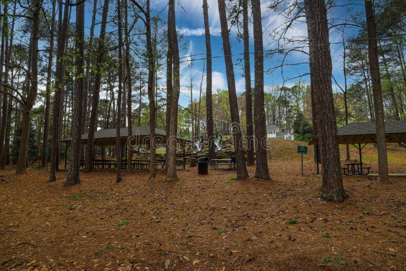 Tall thin pine trees in the forest with brown wooden pergolas and two slides on a hill with brown pine needles on the ground, clouds and blue sky at Murphey Candler Park in Atlanta Georgia USA. Tall thin pine trees in the forest with brown wooden pergolas and two slides on a hill with brown pine needles on the ground, clouds and blue sky at Murphey Candler Park in Atlanta Georgia USA