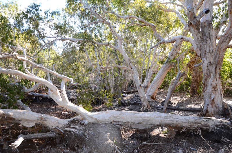 Magnetyczna Wyspa obraz stock
