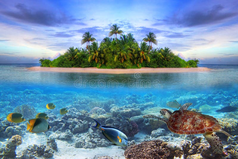 Wyspa Maldives tropikalni