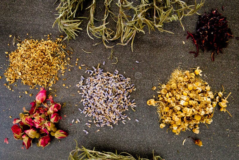 Wysuszeni ziele na szarość, popielatym łupkowym tle chamomile, poślubnik, arnika, stary kwiat, róża pączek i rozmaryny/-, fotografia stock Wysuszeni ziele na szarość, popielatym łupkowym tle chamomile, poślubnik, arnika, stary kwiat, róża pączek i rozmaryny/-, fotografia stock