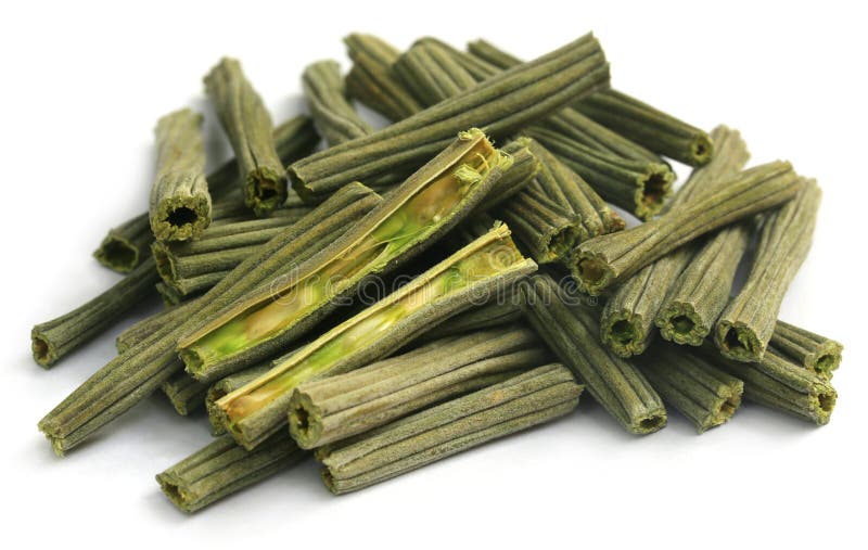 Wysuszony Moringa oleifera fotografia stock