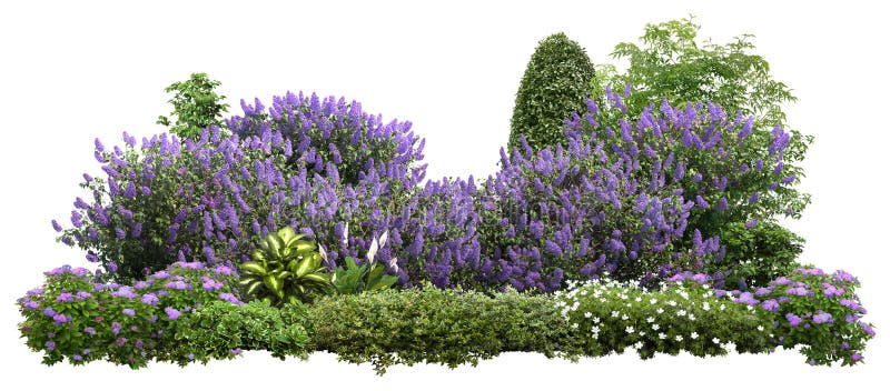 Wytnij projekt krajobrazu Lilaki i koryto kwiatowe