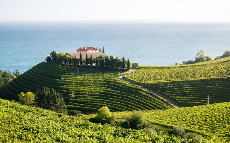 Wytwórnia win w Eitzaga, Baskijski kraj, Spain