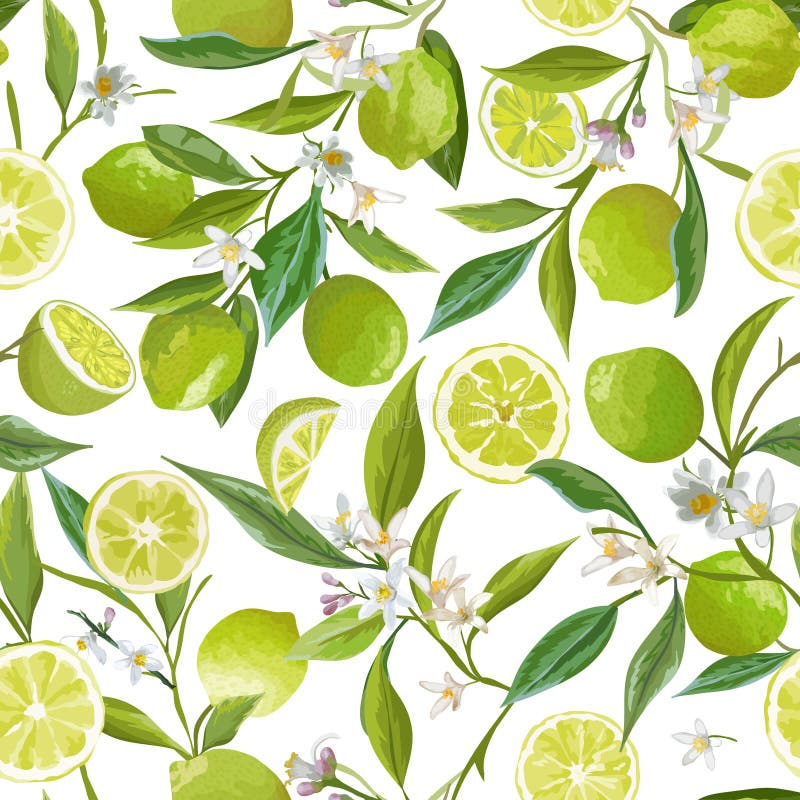 Wzorzec wektora owoców bezszwowych Floral Citrus Ilustracja Tło Kwiaty, Liście, Limes, Projekt Cytryn