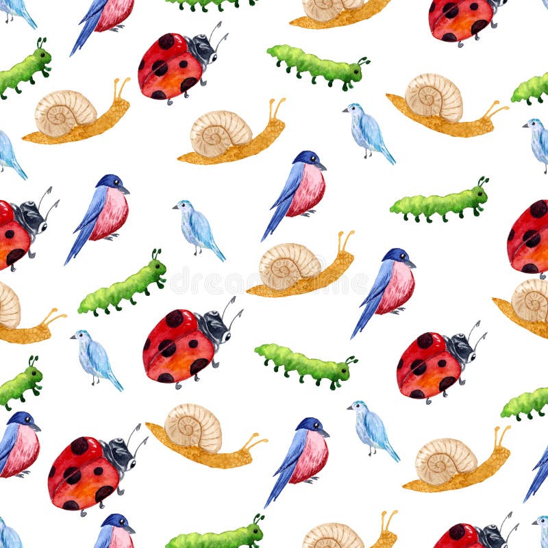 Wzór z odosobnionej akwareli ogrodowymi narzędziami, roślinami i kwiatami, ilustracji Wzór z odosobnionej akwareli ogrodowymi narzędziami, roślinami i kwiatami, ilustracji