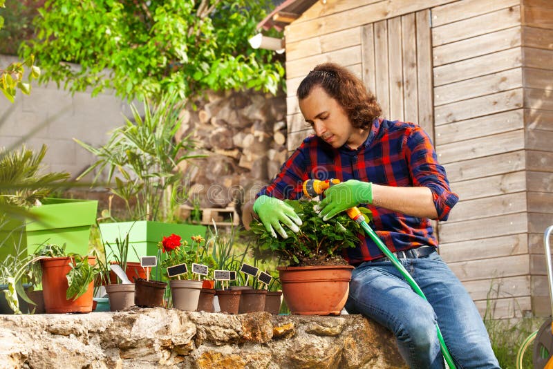 Wässernde eingemachte Blumen des jungen Mannes unter Verwendung der Schlauchleitung lizenzfreie stockfotos Wässernde eingemachte Blumen des jungen Mannes unter Verwendung der Schlauchleitung lizenzfreie stockfotos
