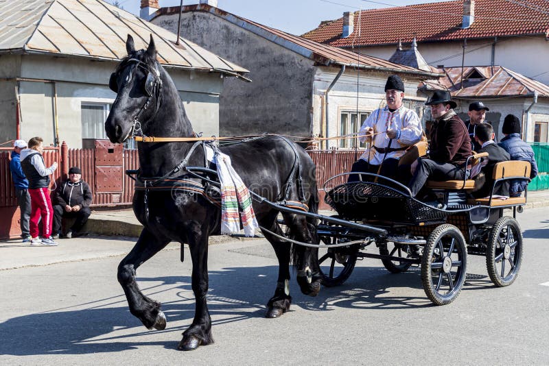 Wózek konny na paradzie koni wielkanocnych w Targoviste obraz stock