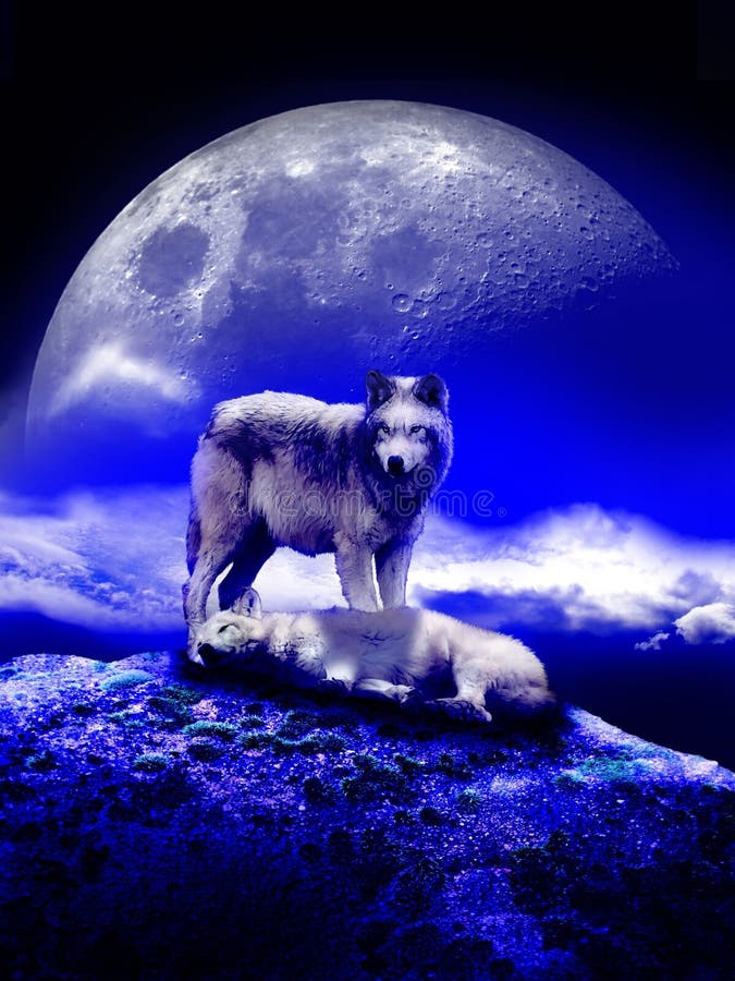 Wölfe unter dem Mond stock abbildung. Illustration von mondschein