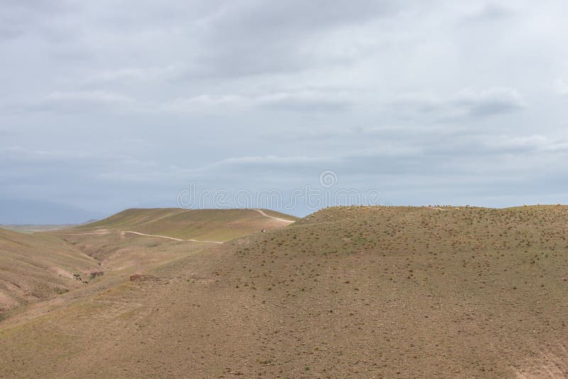 Wüstenberge mit einer Schafherde im Hintergrund in Marrakesch, Marokko Schöner Platz, zum von Viererkabelwegen herzustellen Touri stockbilder Wüstenberge mit einer Schafherde im Hintergrund in Marrakesch, Marokko Schöner Platz, zum von Viererkabelwegen herzustellen Touri stockbilder
