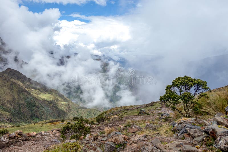 Wąska ścieżka na wycieczkuje śladzie przy dużych wysokości Peruwiańskimi górami między Maizal i Yanama, Peru fotografia stock Wąska ścieżka na wycieczkuje śladzie przy dużych wysokości Peruwiańskimi górami między Maizal i Yanama, Peru fotografia stock