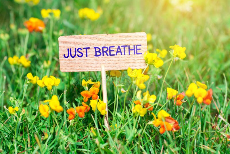 Just breathe on small wooden signboard in the green grass with flowers and sun ray. Just breathe on small wooden signboard in the green grass with flowers and sun ray