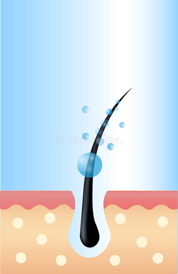 włosiany follicle i serum esencja opuszczamy z wkraplaczem Traktowanie projekta szablon z miejscem dla twój teksta royalty ilustracja włosiany follicle i serum esencja opuszczamy z wkraplaczem Traktowanie projekta szablon z miejscem dla twój teksta royalty ilustracja