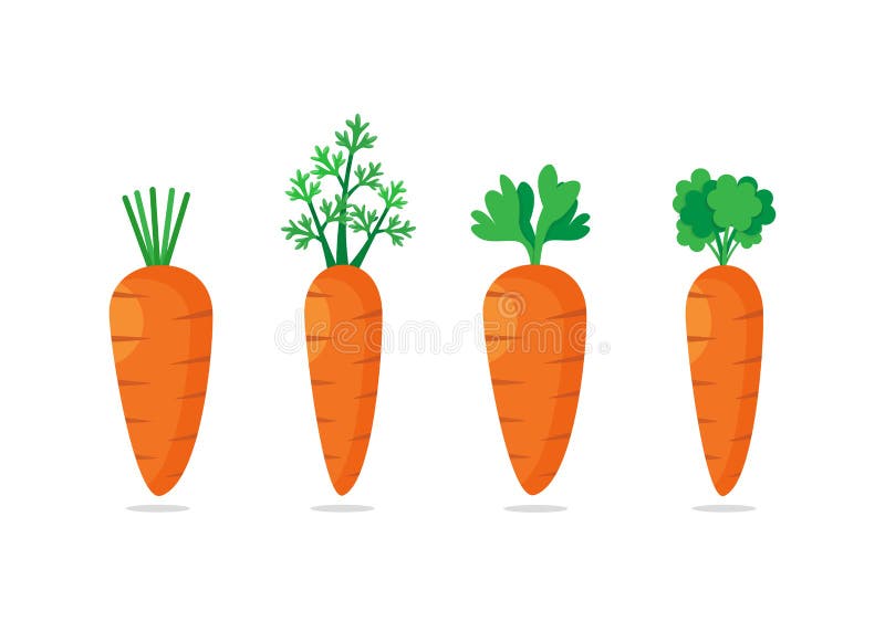 Four Carrots Stock Illustrations 81 Four Carrots Stock Illustrations