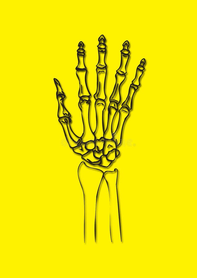 X-rayed hand full detailed illustration. Additional vector format is available for download. X-rayed hand full detailed illustration. Additional vector format is available for download.