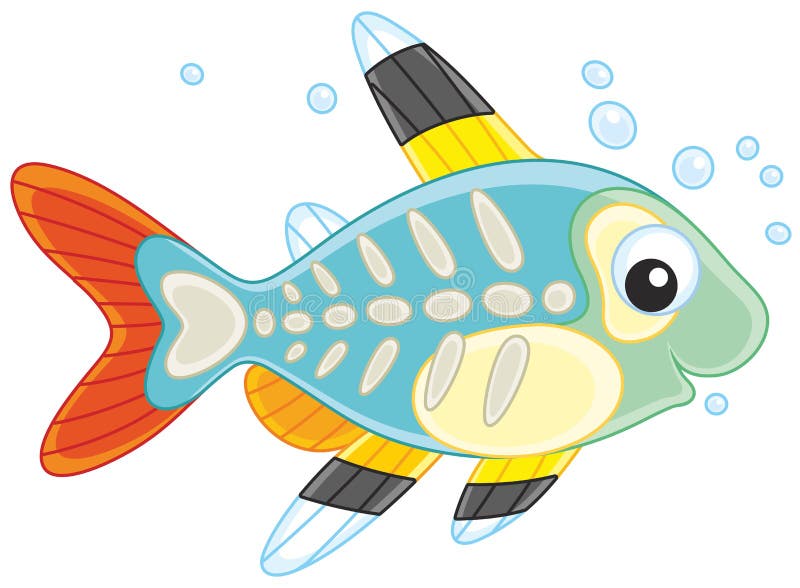 small tropical fish with a brightly coloured compressed body