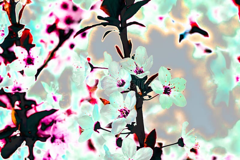 Xray Glow Effect of Spring Maple Tree Flowers. Blooming Trees Stock