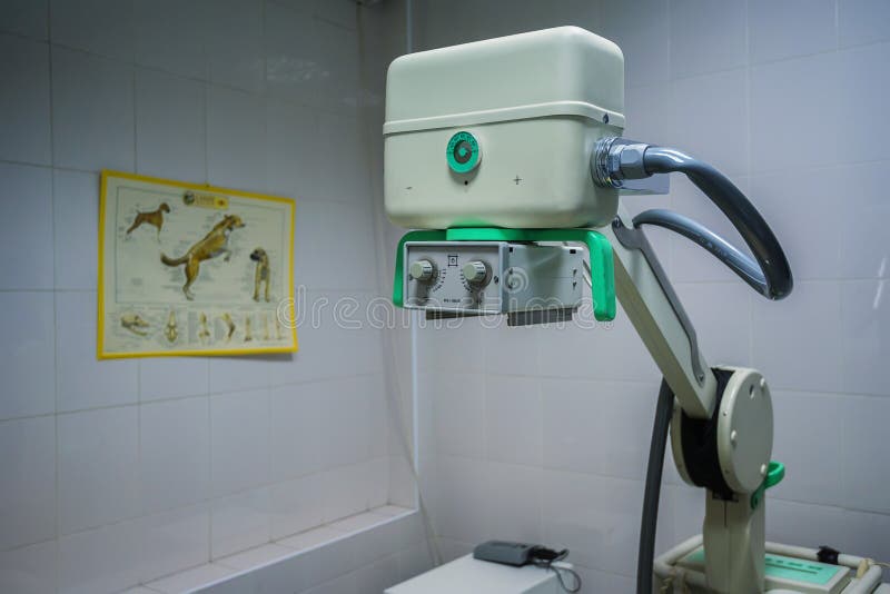 Xray Machine in Veterinary Hospital Stock Image Image of emergency